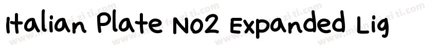Italian Plate No2 Expanded Light字体转换